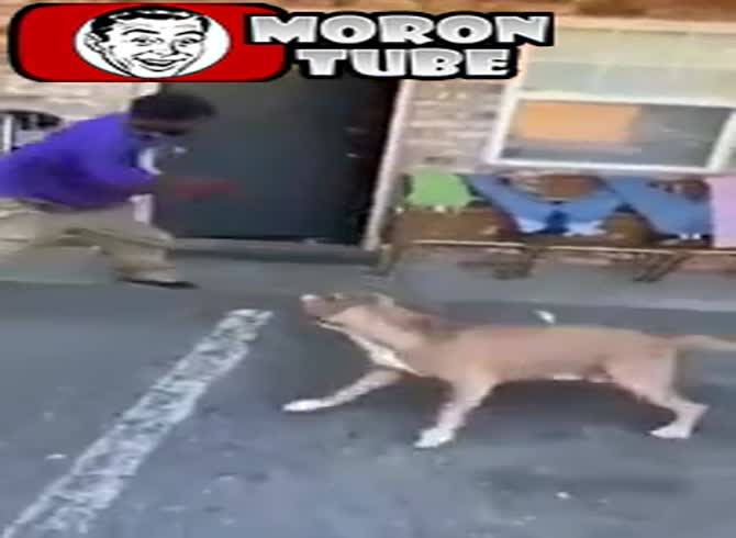 Video: This is the appearance of domestic violence